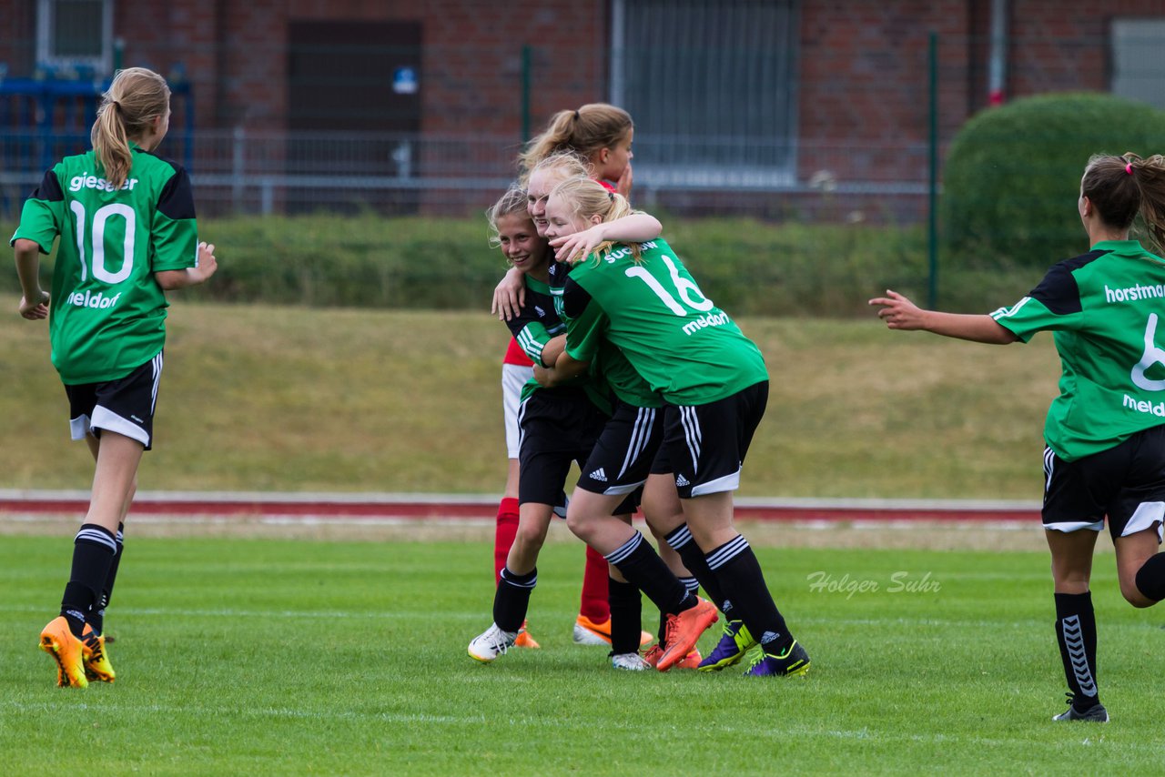 Bild 224 - C-Juniorinnen Landesmeister Finale SV Wahlstedt - TuRa Meldorf : Ergebnis: 1:4